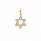 14k gold mini diamond Star of David pendant